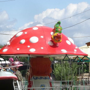 DSC08622_5