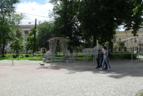DSC08646_5.jpg