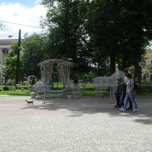 DSC08646_5