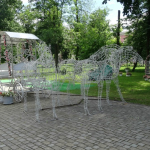 DSC08649_5