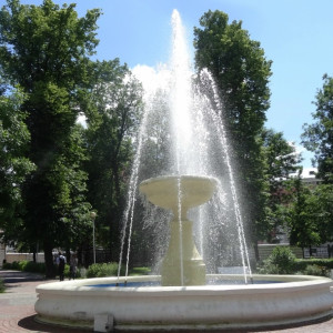 DSC08669_5