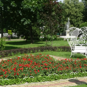 DSC08703_5
