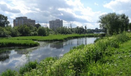 DSC08836_5.jpg