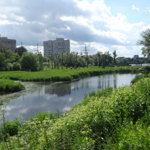 DSC08836_5