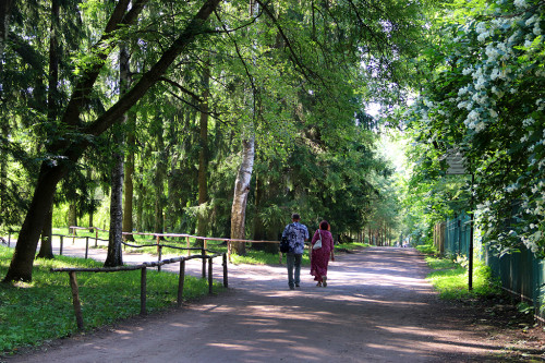 IMG_8743-KOPIY.jpg