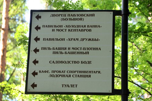 IMG_8745-KOPIY.jpg