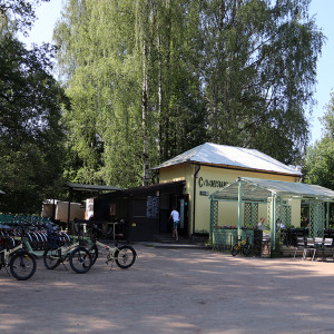 IMG_8767-KOPIY