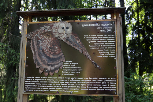 IMG_8769-KOPIY.jpg