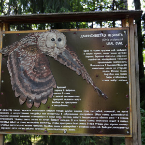 IMG_8769-KOPIY