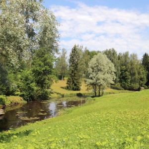 IMG_8826-KOPIY