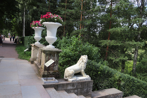 IMG_8861-KOPIY.jpg