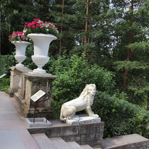 IMG_8861-KOPIY