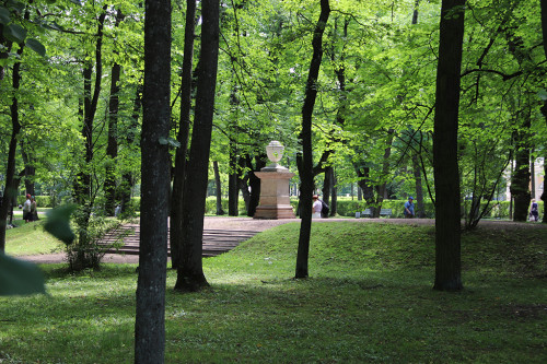 IMG_8875-KOPIY.jpg