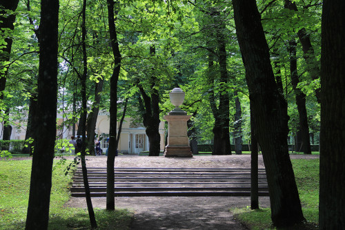 IMG_8876-KOPIY.jpg