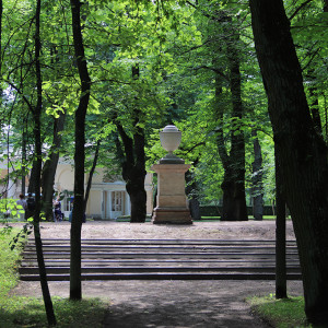 IMG_8876-KOPIY
