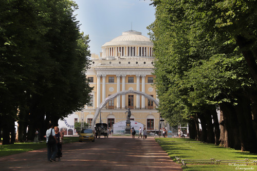 IMG_8882-KOPIY.jpg