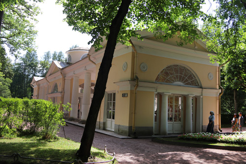 IMG_8884-KOPIY.jpg