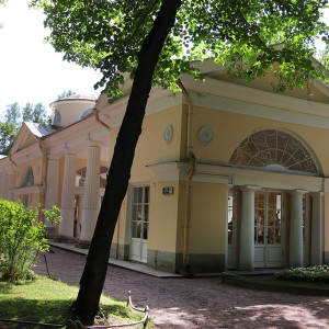 IMG_8884-KOPIY