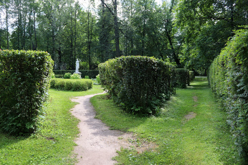 IMG_8949-KOPIY.jpg