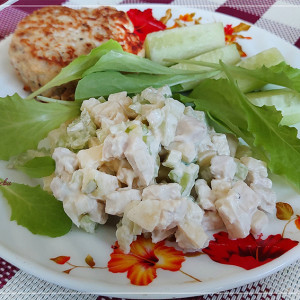 SALAT-1SVEZEST