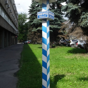 DSC08756_5