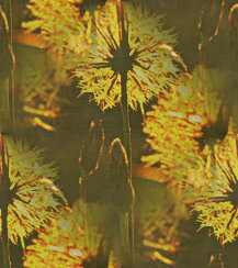h-4892.jpg