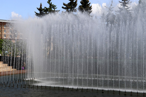 IMG_7984-KOPIY.jpg