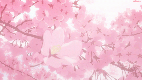 A2CE6B46-E06C-43BA-BEF0-432EB3C11140.gif