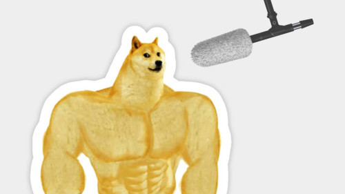 Cover_Volnitsa.jpg