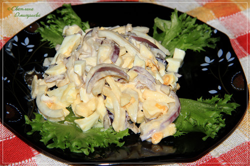 SALAT-S-KALMAROM1.jpg