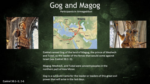GOGO-AGOGO.jpg