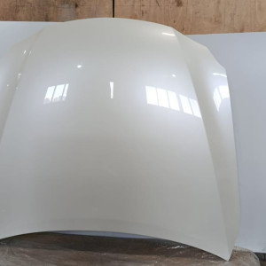 KAPOT-53301-53030-GSE21-2