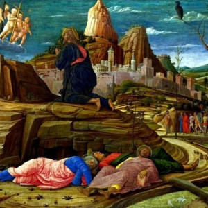 BELINI-PRONSI-CASU-MIMO