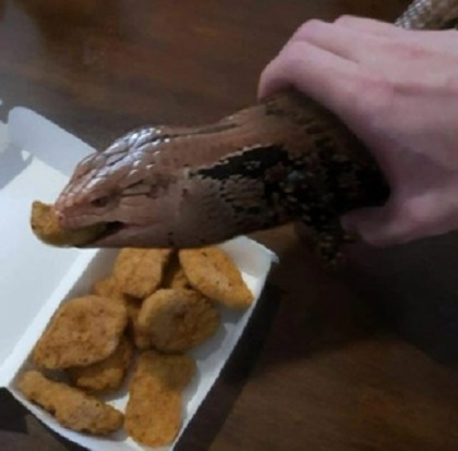 YSERITA.jpg
