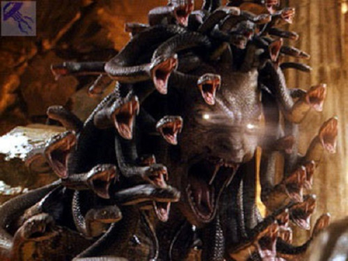 gorgona3.jpg