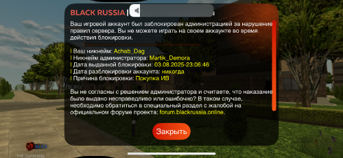 IMG_0004e292a793873913ca.png