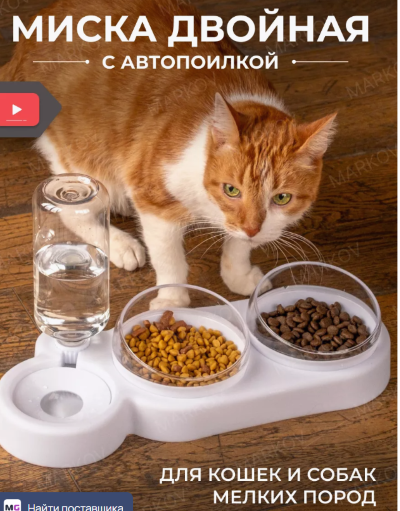 SNIMOK-EKRANA-2025-08-04-181816.png