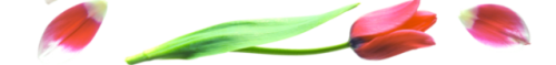 0a38f9187d2e.png