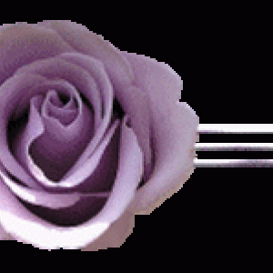 1ca4eee877d1344952574221e1e1c32fa7064ef8_hq
