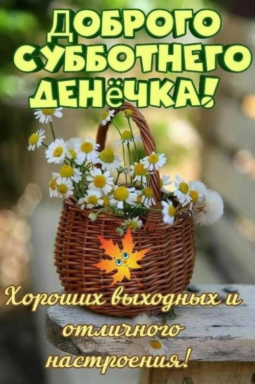 46d1a72fe188afb9333335e58fedd9f8.jpg