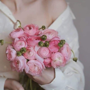 6817acfed4b96eaa99b469b77671b3bb