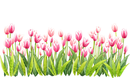 tulip-transparent-grass-5.png