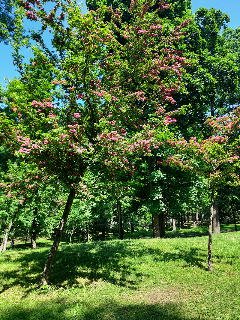 20250614_130955-KOPIY.jpg