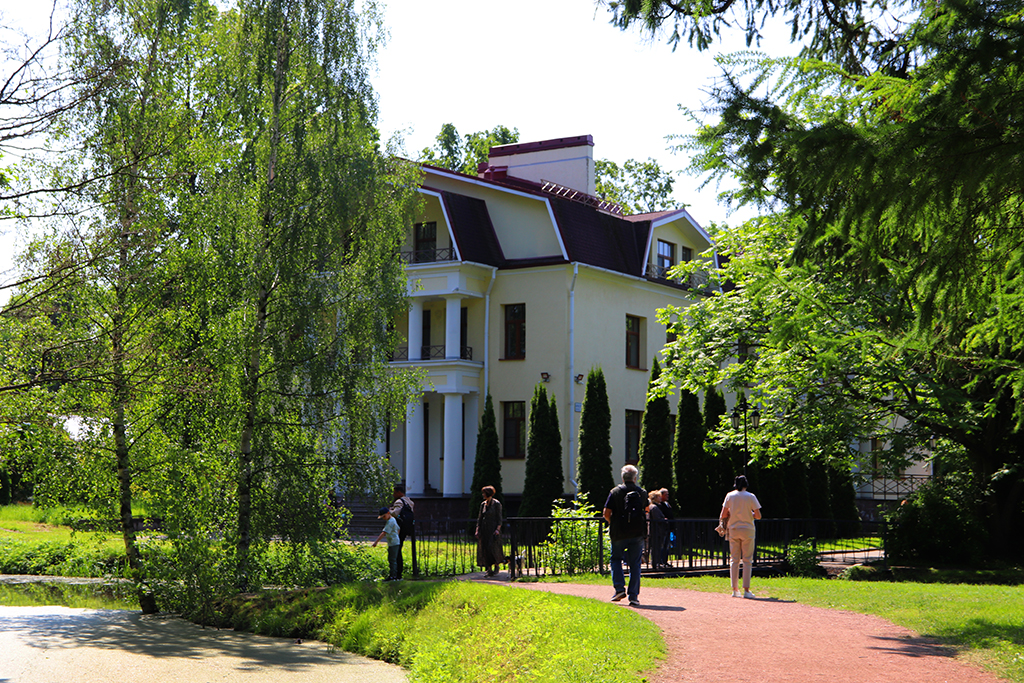 IMG_8007-KOPIY.jpg