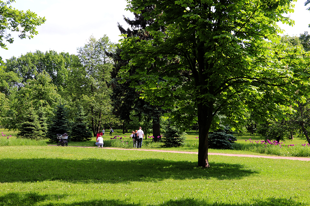 IMG_8056-KOPIY.jpg