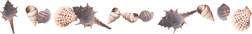 171576_1718174636_666943ac330cc.png