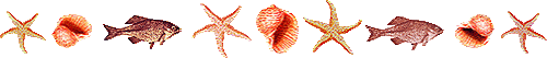 shells.gif