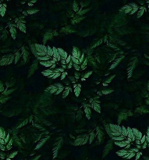 b9f9d5d058dd6bdcd7225f8b5cf4026b.jpg