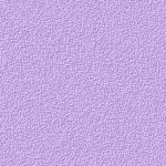flor-2.jpg