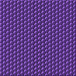 flor-3.jpg